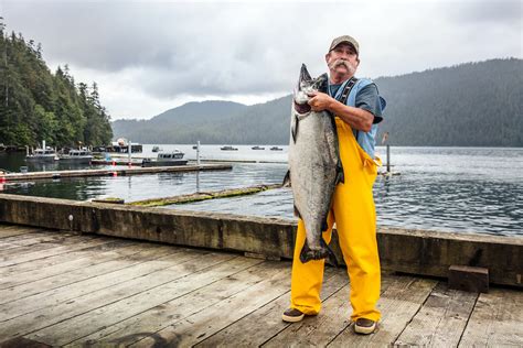 Alaskas 2020 King Salmon Fishing Limits Waterfall Resort
