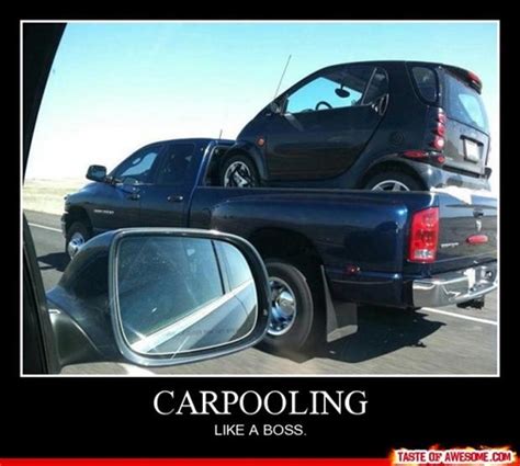 Like A Boss Carpooling Funny Pictures Dump A Day