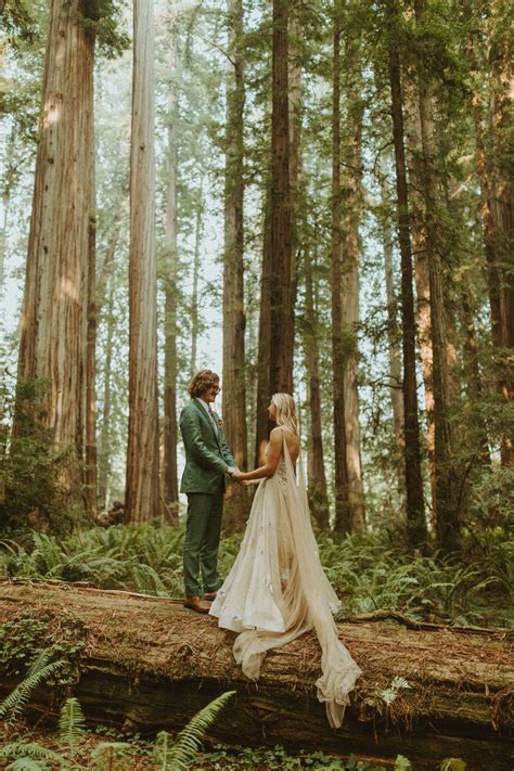 Page And Taylor Eloped In The Redwoods Photo Dawnphoto Forest Wedding Dress Redwood Forest