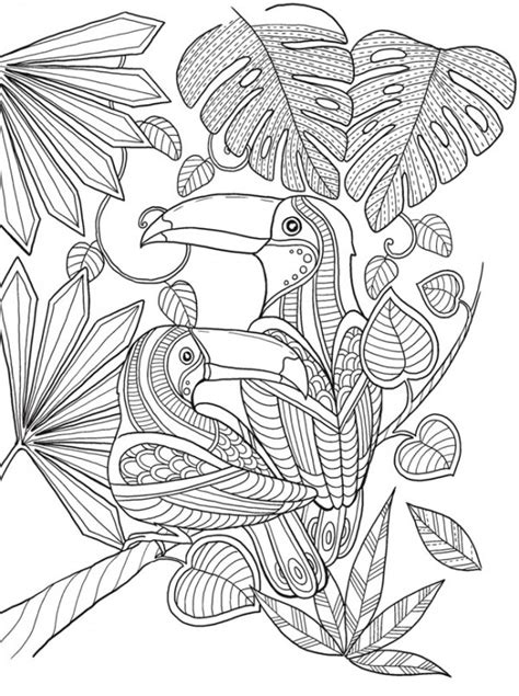 Free printable toucan coloring pages for kids that you can print out and color. Freebie: Toucan Coloring Page - Stamping