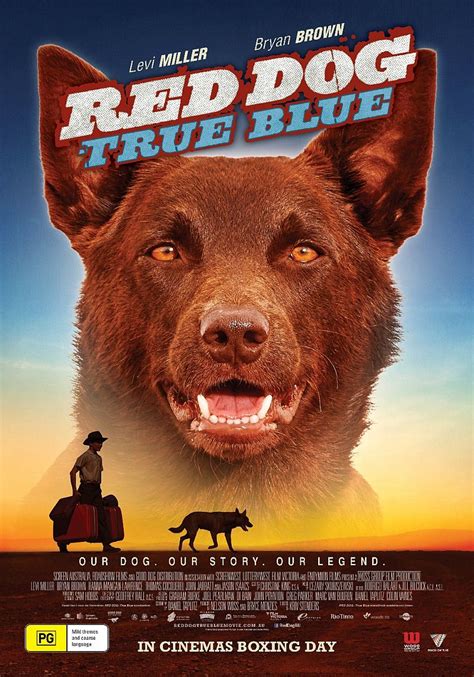 New Poster And Trailer For ‘red Dog True Blue The Reel