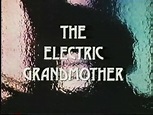 The Electric Grandmother (1982) Maureen Stapleton, Edward Herrmann ...