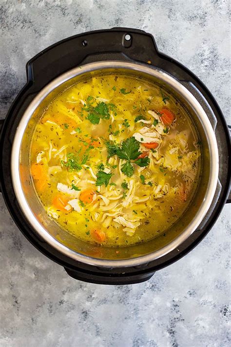 My whole family loved it. Instant Pot (Pressure Cooker) Chicken Noodle Soup ...