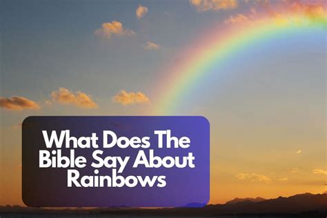 What Does The Bible Say About Rainbows