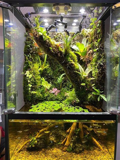 Amazing Paludarium Ideas That Must Be Crazy In Your Home Homemydesign