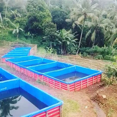 Cara membuat kolam renang minimalis. 2 Cara mudah membuat kolam terpal sederhana | Agrotani