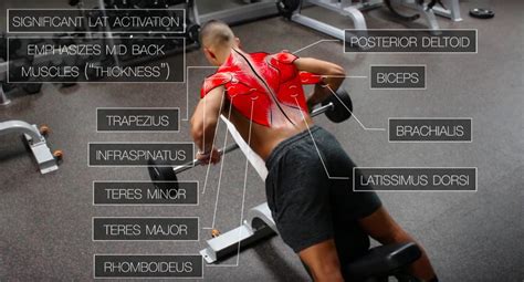 When making you name your gym, always keep in mind that it is often the first thing a customer learns about your gym. Based Back Workout for Growth