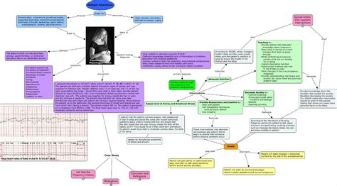 Labor And Delivery Concept Maps Schemes And Mind Maps Nursing Docsity