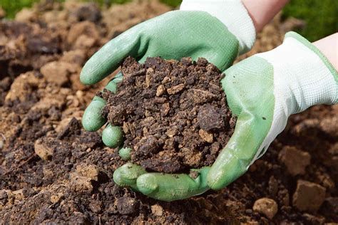 Understanding Clay Soil And How To Improve It