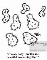 Organism Cell Amoeba Mucus Single Micro Cartoon Drawing Cartoons Comics Bacteria Organisms Microorganisms Funny Science Getdrawings Cartoonstock Bacterias Illustration Mucous sketch template