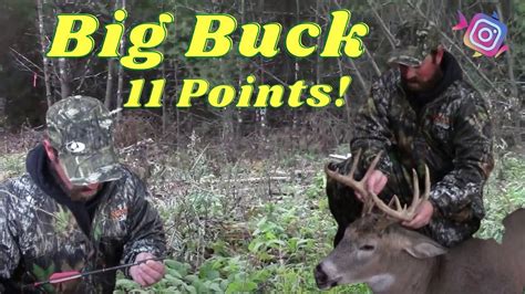 Big Buck Down 9 Yards Self Filmed Wisconsin Archery Youtube