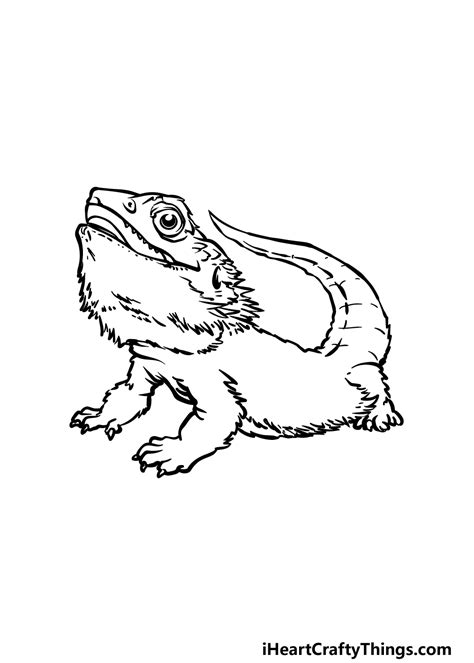Bearded Dragon Drawing To Draw A Bearded Dragon Step By Step Coloring