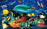 Marine Life Wallpapers - Top Free Marine Life Backgrounds - WallpaperAccess