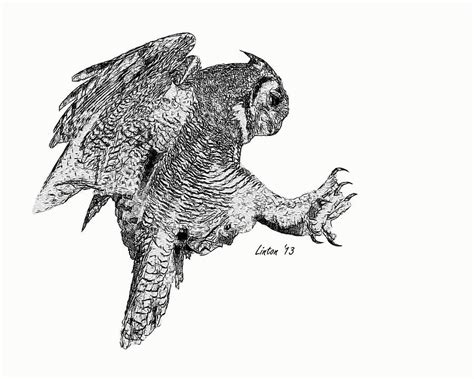 Great Horned Owl 8 Digital Art By Larry Linton Pixels