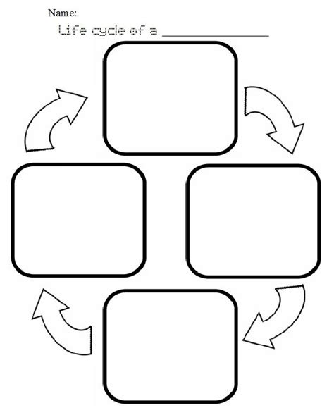 Blank Life Cycle Template