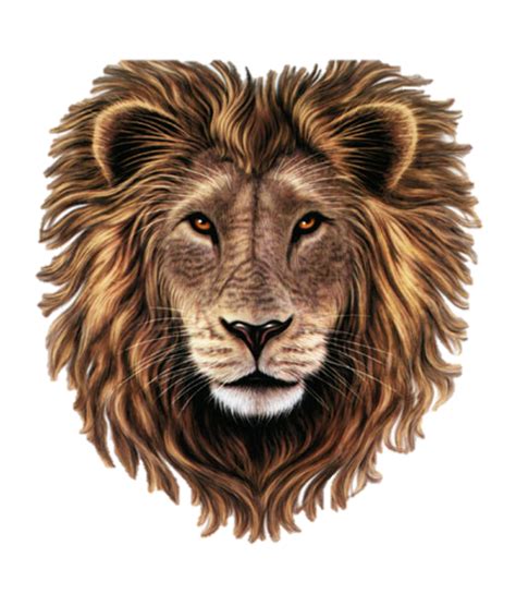 Here you can explore hq line art transparent illustrations, icons and clipart with filter setting like size, type, color etc. Download Lion Head Clipart HQ PNG Image | FreePNGImg