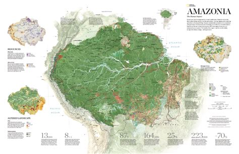 Amazonia The Human Impact National Geographic Society Forest Map