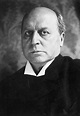 Henry James and the Great Y.A. Debate | The New Yorker