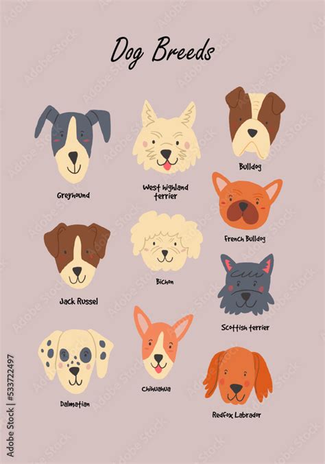 Dog Breeds Poster