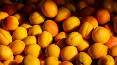 Apricot Seeds Do They Fight Cancer Dana Farber Cancer Institute