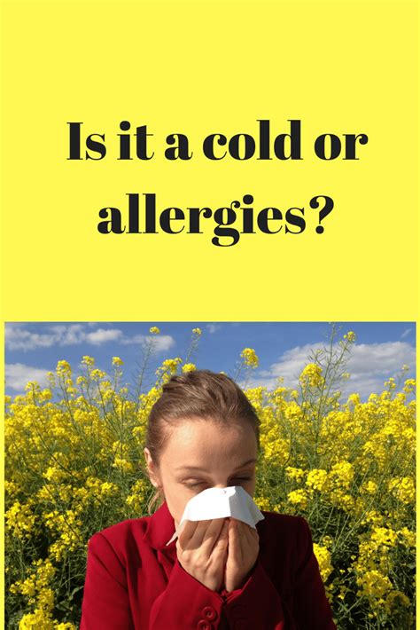 How To Tell The Difference Between A Cold And Allergies