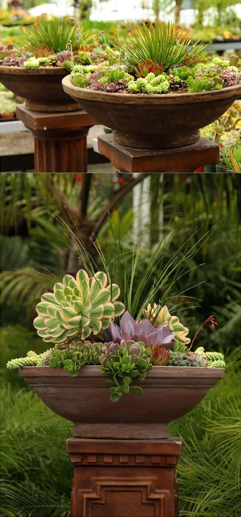 How To Plant Beautiful Succulent Gardens In 5 Easy Steps A Piece Of