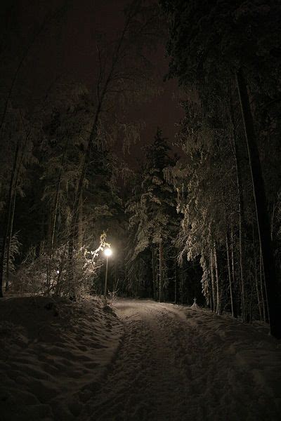 Pin By Jupiter On Paths Routes Steps And Stairs Night Forest