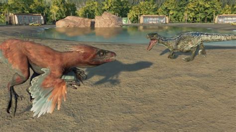 Jurassic World Evolution 2 Pyroraptor Vs Blue Velociraptor Youtube
