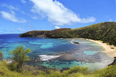 1 Things To Do In Oahu Hawaii Real Nature Tours