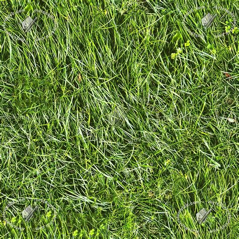 Green Grass Texture Seamless 12968