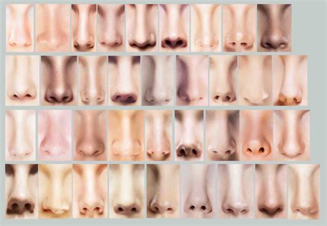 What Makes a Beautiful Nose, According to Science | Dr Doyle gambar png