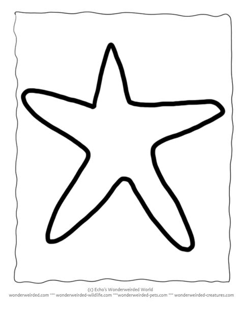 Printable Starfish Template Echos Animal Outlines For Ocean Crafts