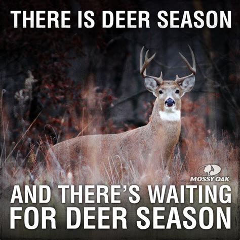 17 Best Images About Hunting On Pinterest Deer Hunting Hunts And Deer