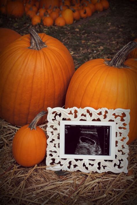 Ultrasound In A Pumpkin Patch Maternity Photography Pumpkin Maternity