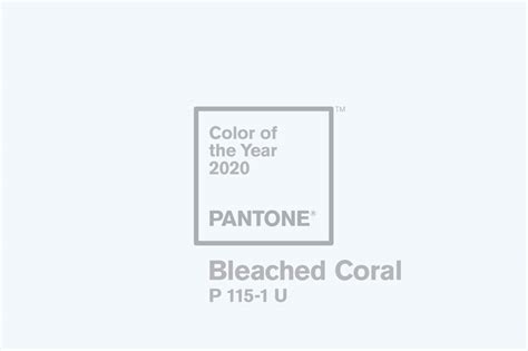 Jack Huei Suggests Pantone To Help Raise Awareness Of Dying Coral In 2020