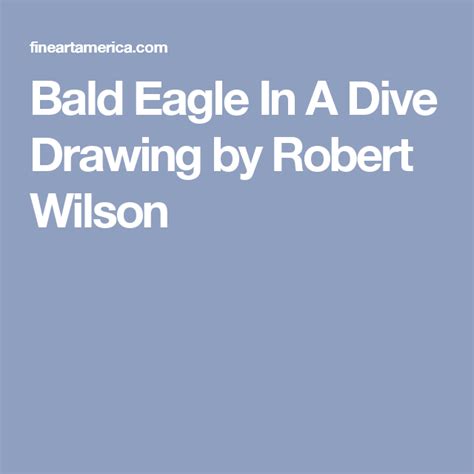 Bald Eagle In A Dive By Robert Wilson Bald Eagle Dove Drawing