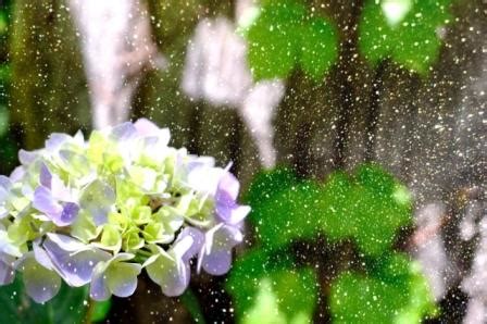 Definition of 梅雨, meaning of 梅雨 in japanese: Jun4週/ようやく西日本でも梅雨入り Jul1週/梅雨前線が活動強める ...