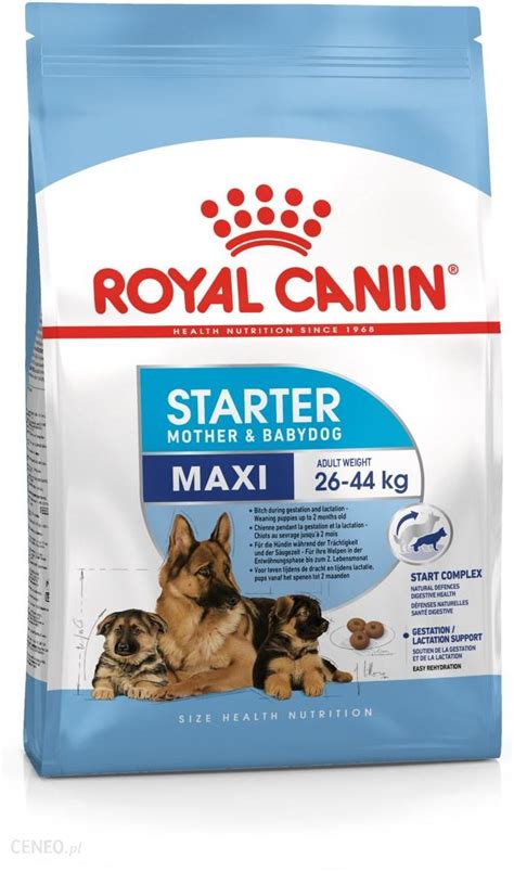 Karma Royal Canin Maxi Starter Mother And Babydog 4kg Ceny I Opinie