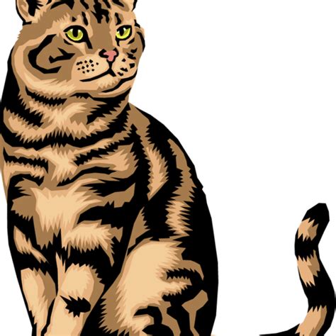 Download High Quality Cat Clipart Mat Transparent Png Images Art Prim