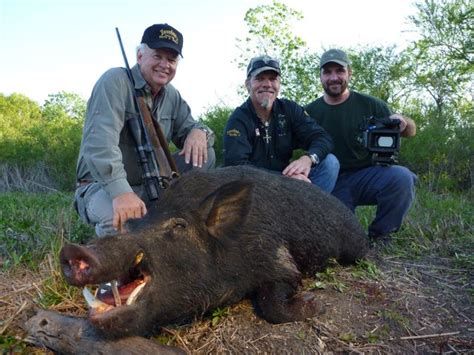 South texas wild hog & javelina, bobcat and coyote hunting. Outdoor Adventures Worldwide | South Texas Hogs