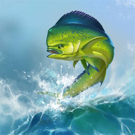 Dolphin Mahi Mahi Backgrounds Illustrations Royalty Free Vector