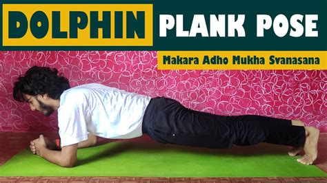 Dolphin Plank Pose Benefits Of Dolphin Plank Pose Yog Asana Youtube