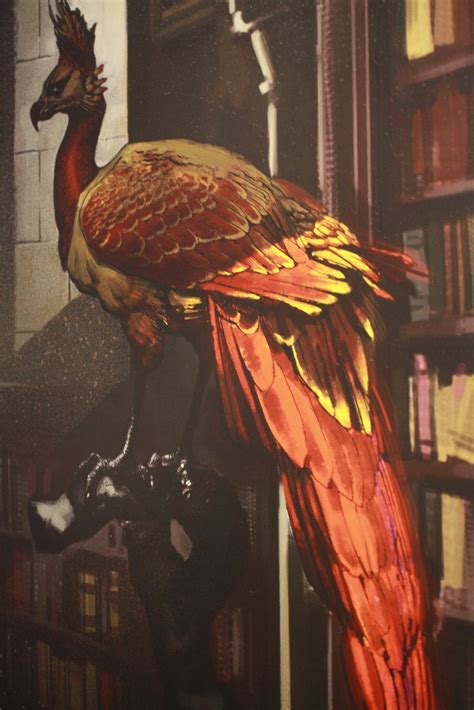 Trailer harry potter dragons harry potter fluffy harry potter 2001 harry potter troll harry potter angry face harry potter anime chibi harry potter owl hedwig cage harry potter pegasus harry potter neca figures harry potter firebolt drawing. My week in pictures: Harry Potter (Part Two)