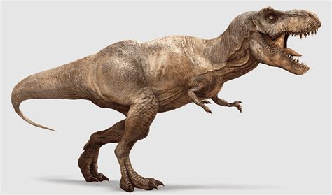 Dinosaurus Coelurosauria Isla Nublar Soft Tissue T Rex