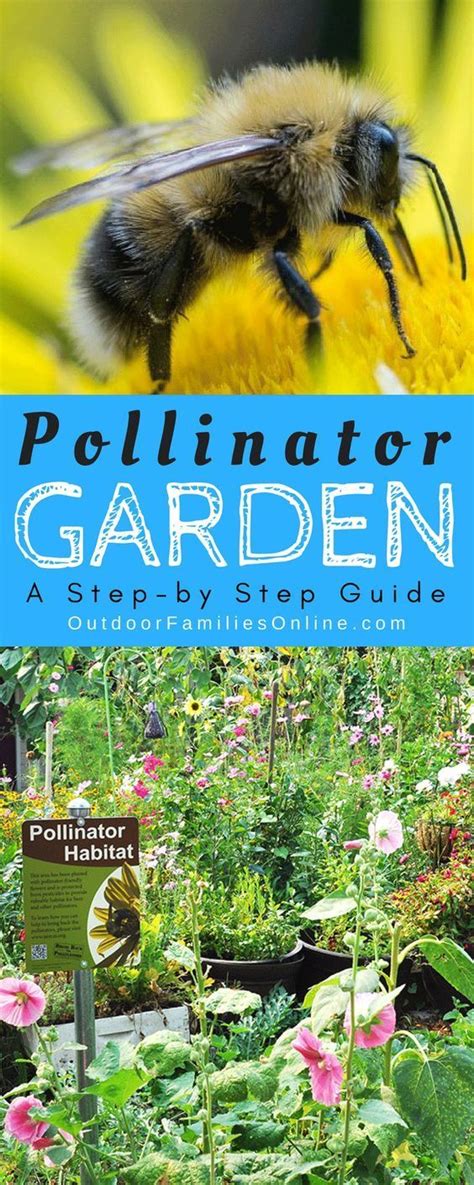 Creating A Pollinator Garden Give Bees A Helping Hand Pollinator
