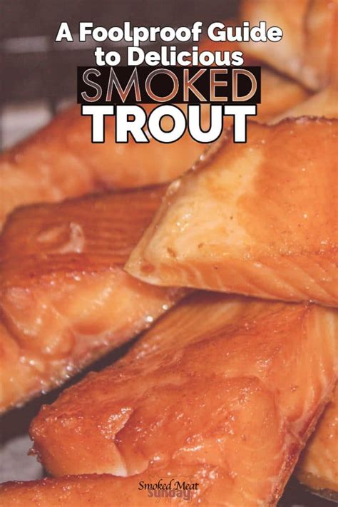 Easy Homemade Smoked Trout Simple Tips For Smoking Trout In A Smoker
