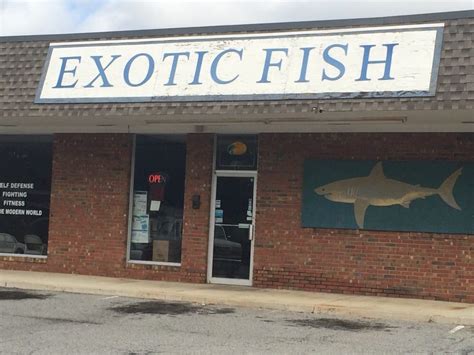 With hundreds of tanks and countless fish somethingfishy has the biggest selection of fish i've seen at a local fish store. Exotic Fish - Pet Stores - 406 Northside Dr, Valdosta, GA ...