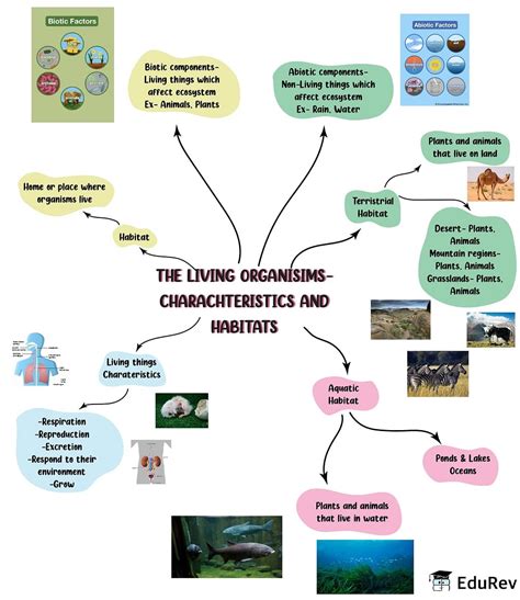 Mindmap The Living Organisms Characteristics And Habitats Notes