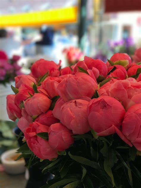 Pike place market flowers for wedding. Peonies at Pike Place Market | Peonies, Pike place, Pike ...