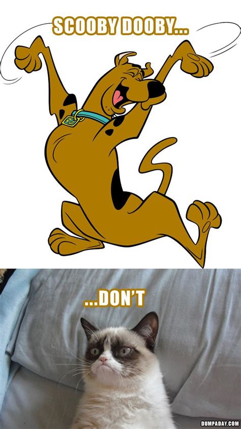 Scooby Doo Quotes Quotesgram
